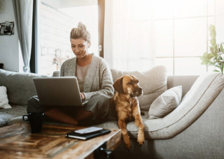 Back Garden Office Pods Vs Traditional Home Offices