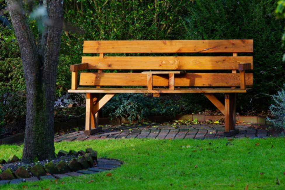Maintain Lawn Health