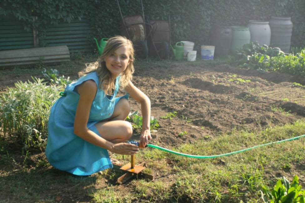 Revamp Your Garden